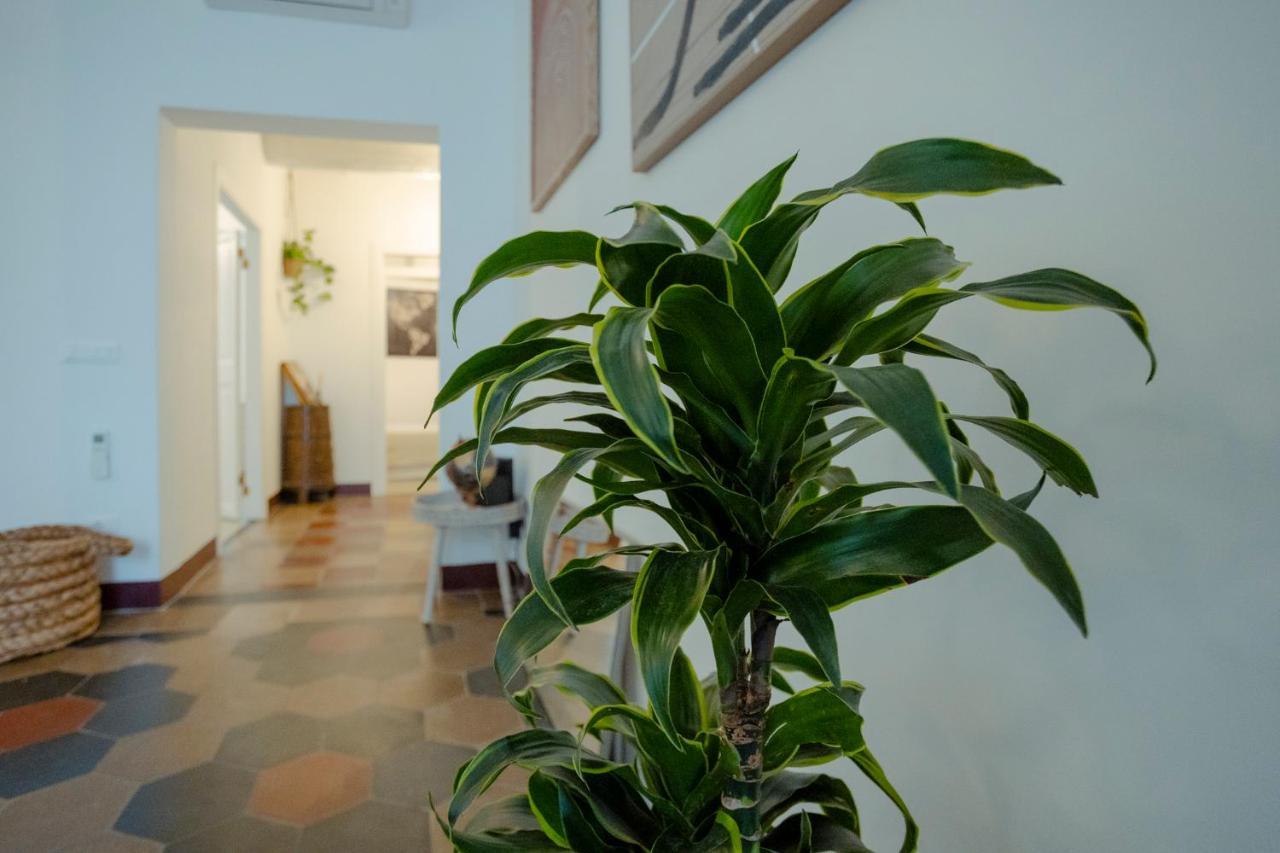 Domus Superior Navona - Pantheon Apartamento *